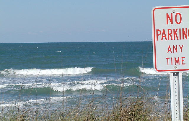 P3180014 2.JPG