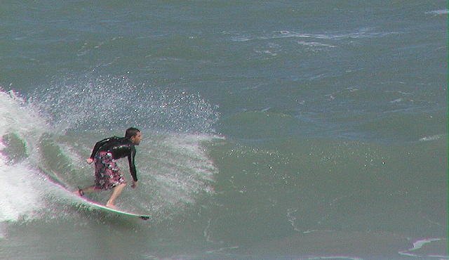 P3310009 2.JPG