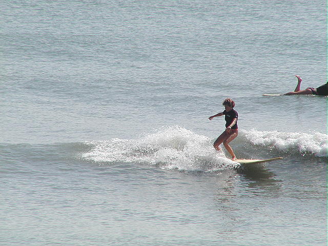 P4120031 2.JPG