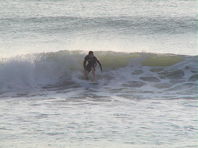 P4200053 2.JPG