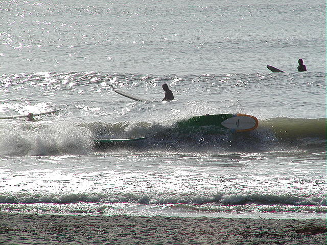 P7190022 2.JPG