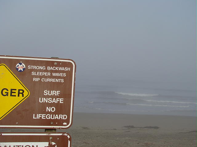 DSC01347 2.JPG