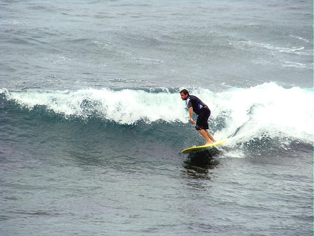 DSC02224 2.JPG