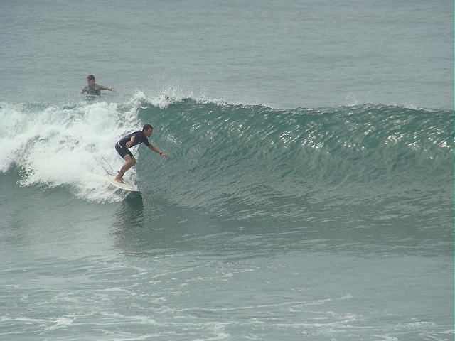 DSC02431 2.JPG