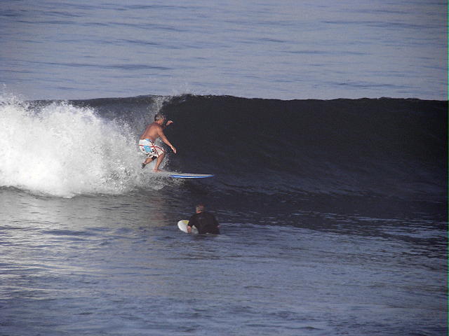DSC03701 2.JPG