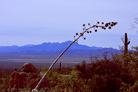 Arizona-60.JPG