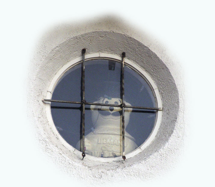 Who is looking through the window?