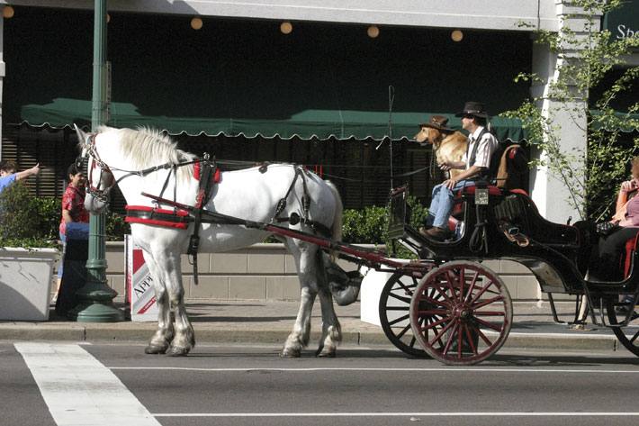 Moving Down Union Street