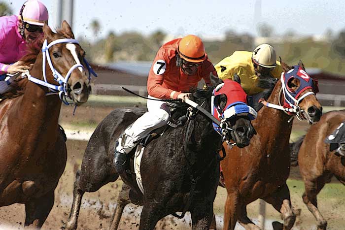 Rillito Races
