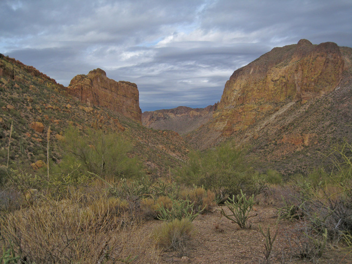 View from the saddle