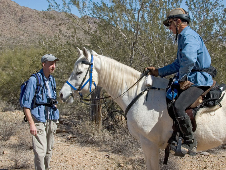 A fine horse-like specimen upon which was mounted a rider-like specimen