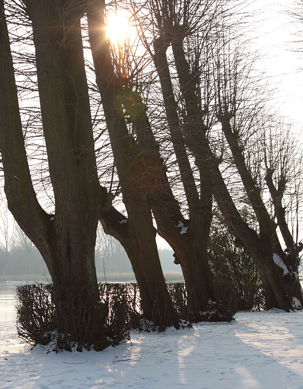 Park Groot Leerust