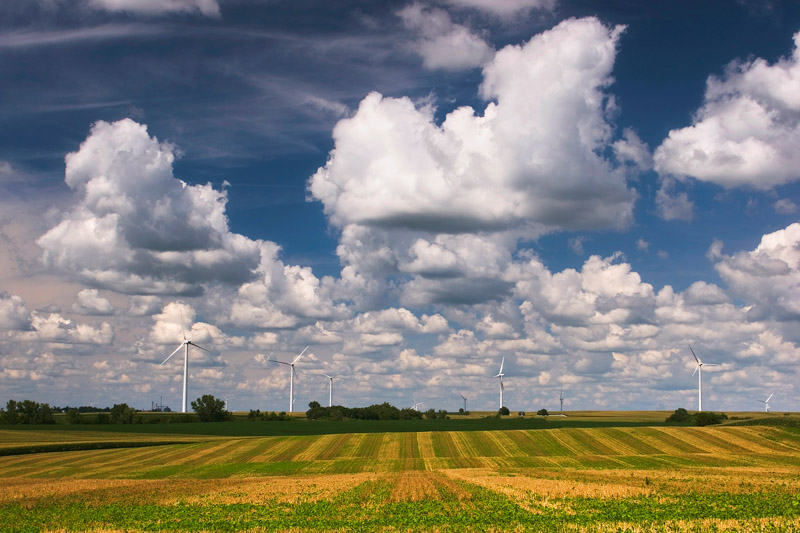 Windmills and field