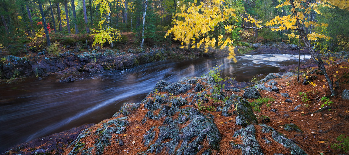 Autumn creek