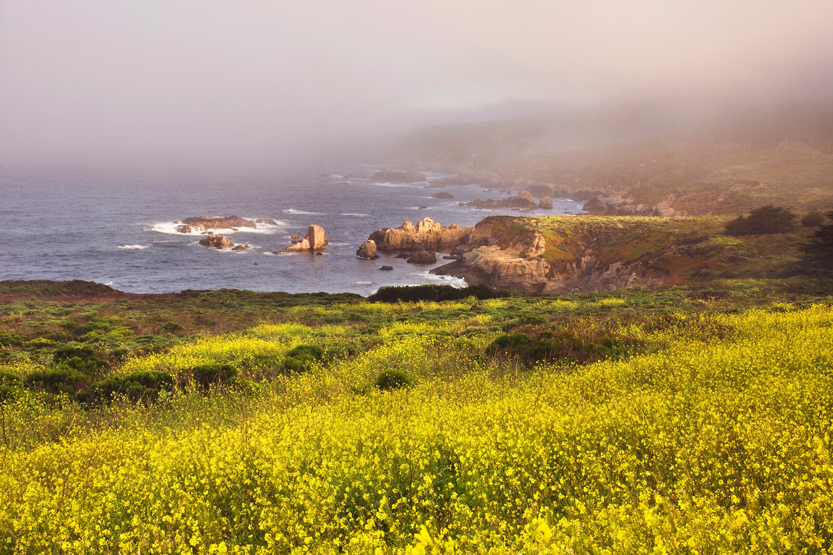 Spring coast