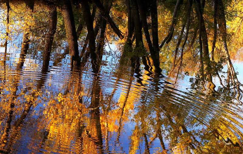 Ripples
