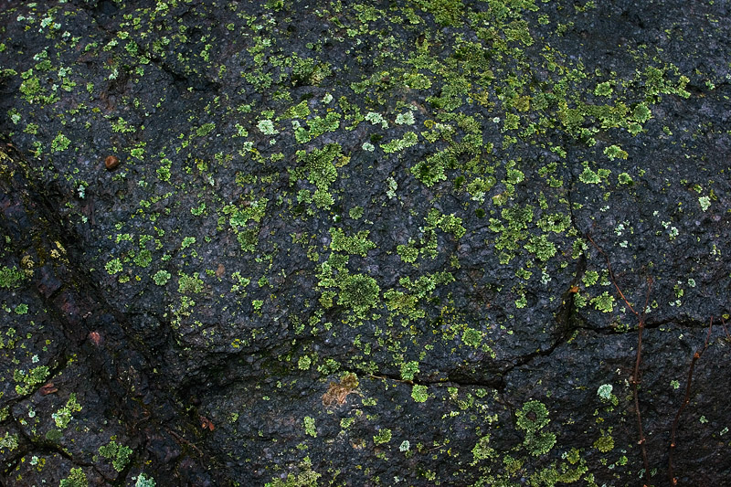 Surface of the rock