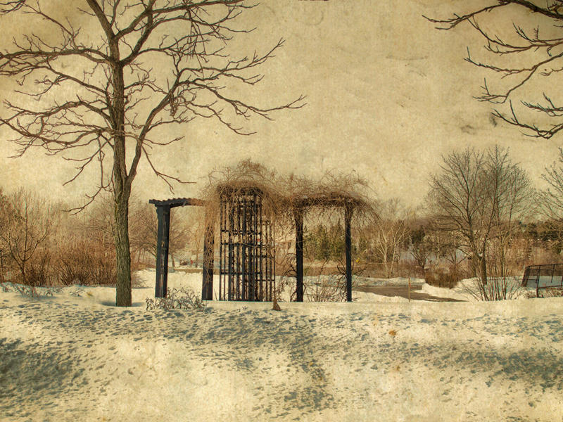 Arber In The Park