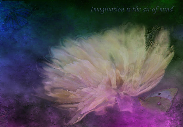 Imagination Is.....
