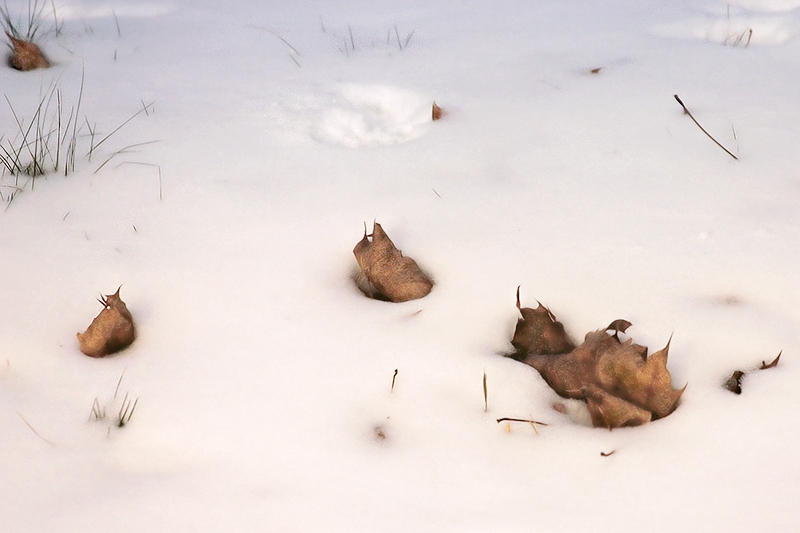 Remnants