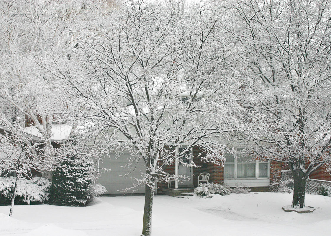 Snowed Last Night