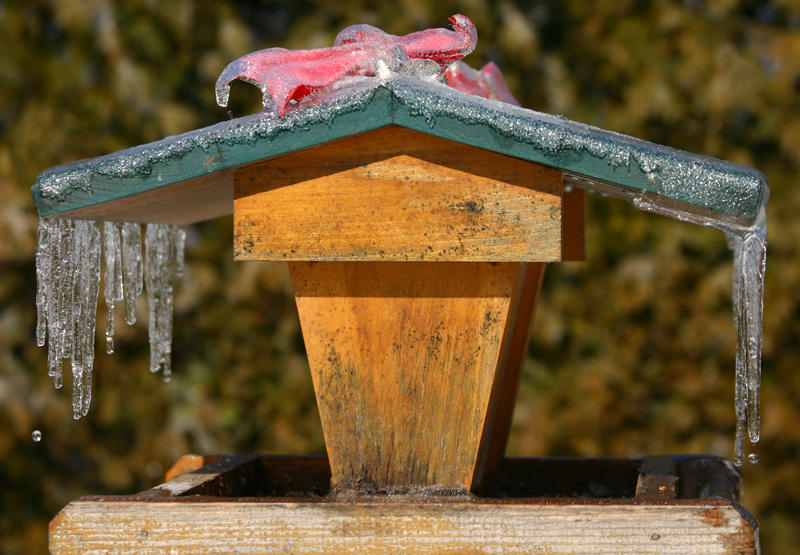 Icy Birdfeeder