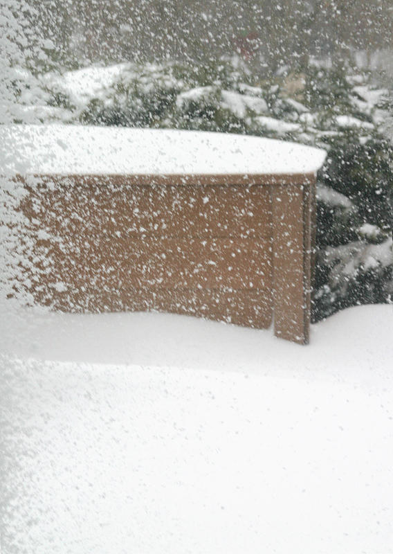 Snowy Day
