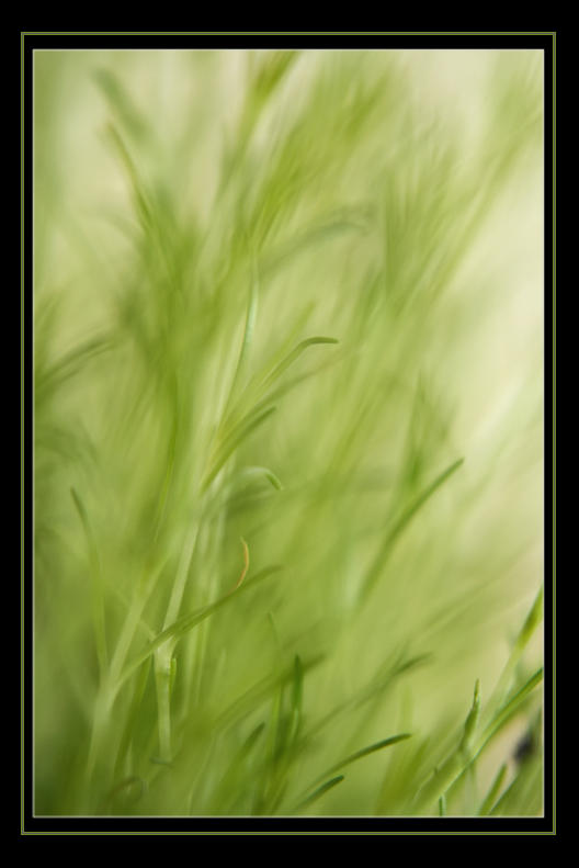 Unfettered Beauty