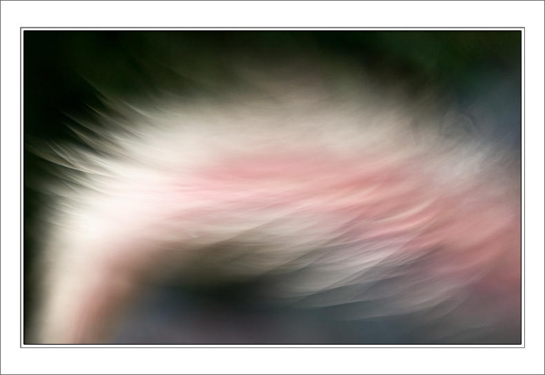 Let the wind blow  -  Experiment
