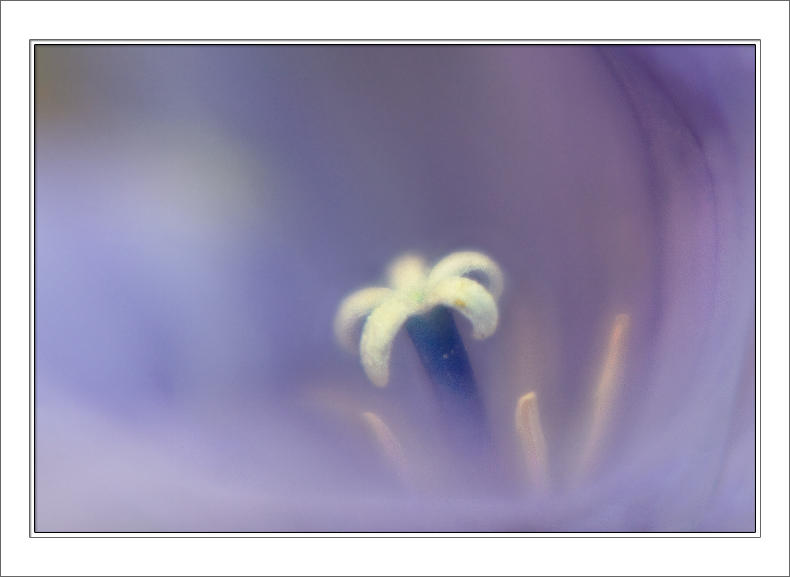  Inner Beauty