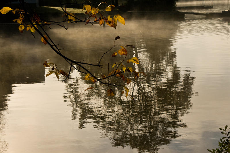 Early Morning Reflections
