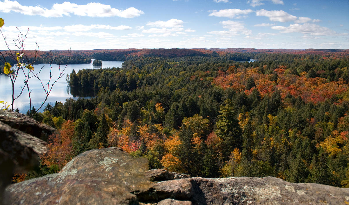 View From the Top