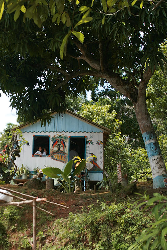 Decorative Home