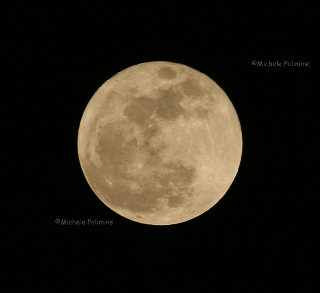 full moon 0034 4-2-07.jpg