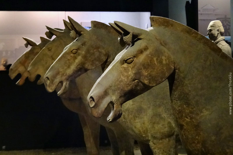 2,200 yrs old terracotta horses