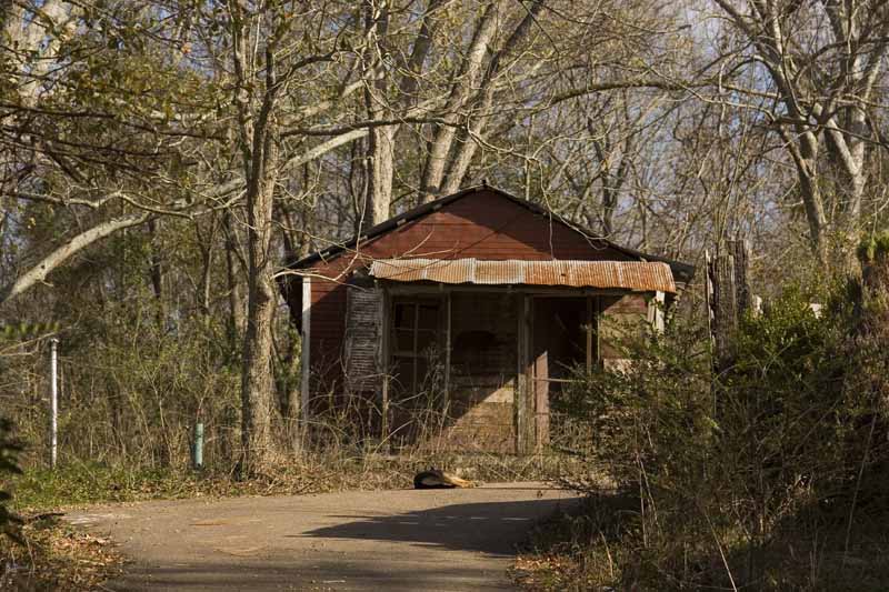 dogs house.jpg