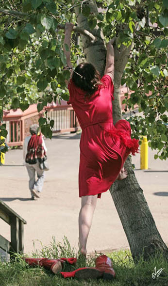 IMG_9201 Theresa climbs the Wish Tree, June 26