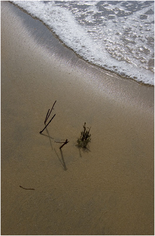 Ebb Tide