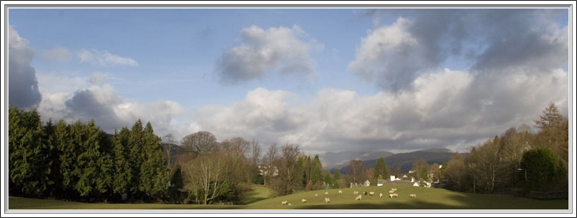 Flock on the Hill