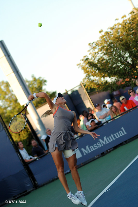 Elena Vesnina 1