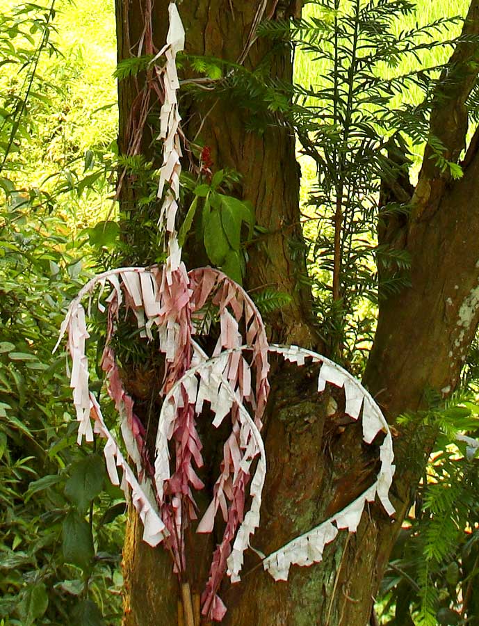 3511 Hoops of bamboo and paper used at the sacred yew tree.