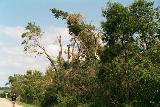 Storm Chasing 2003