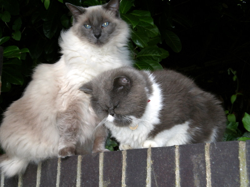 Oscar and Humph