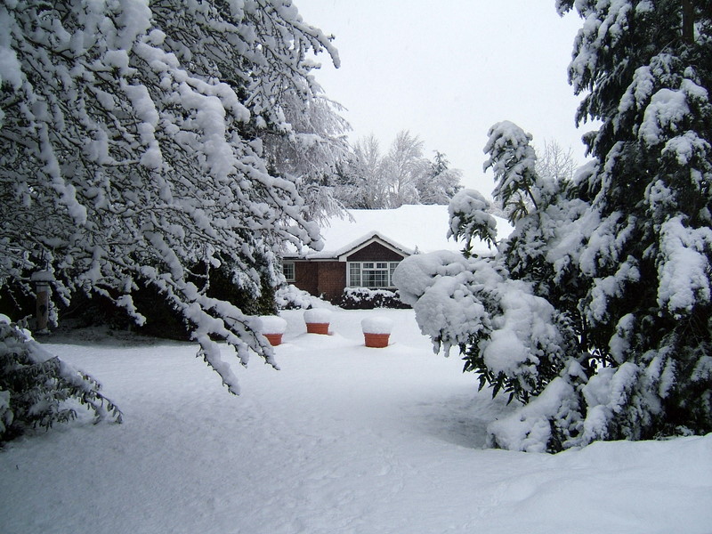 DSCF1600.JPG