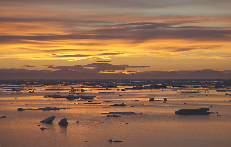 Pack ice sunset East Greenland 4