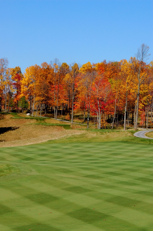  Fairway 17 looking toward the tees at Primlands Highland Course