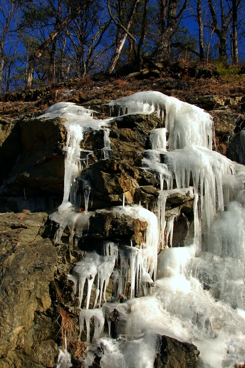 DSC_1677.jpg