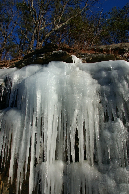 DSC_1684.jpg