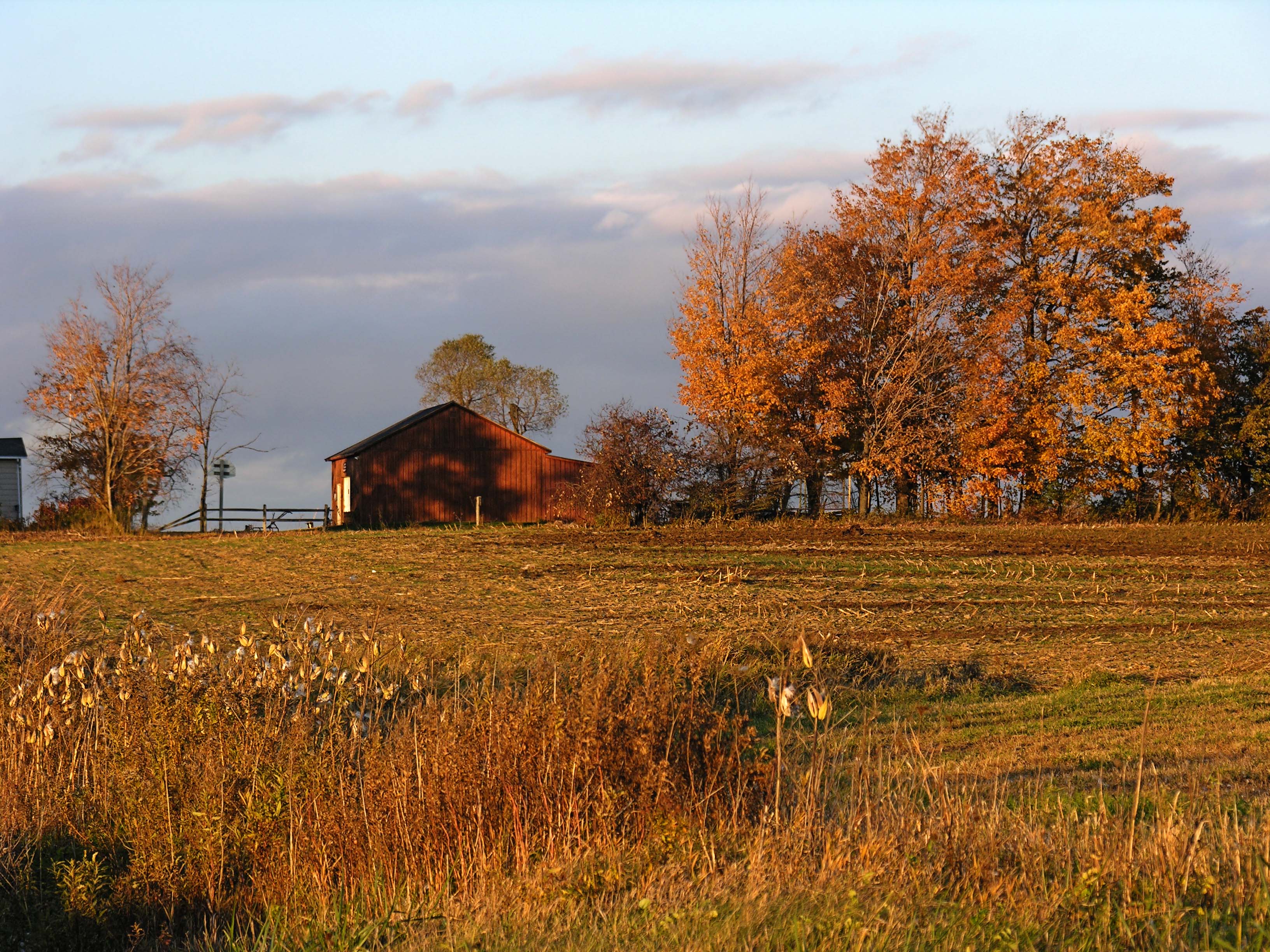 Barn in the Fall Near Mt. Morris, NY