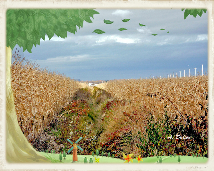 A Wolfville Scene ~ Framed For Fun